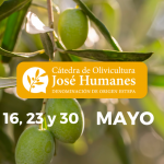 La SCA Olivarera Pontanense acogerá una conferencia sobre el impacto de la climatología en la olivicultura